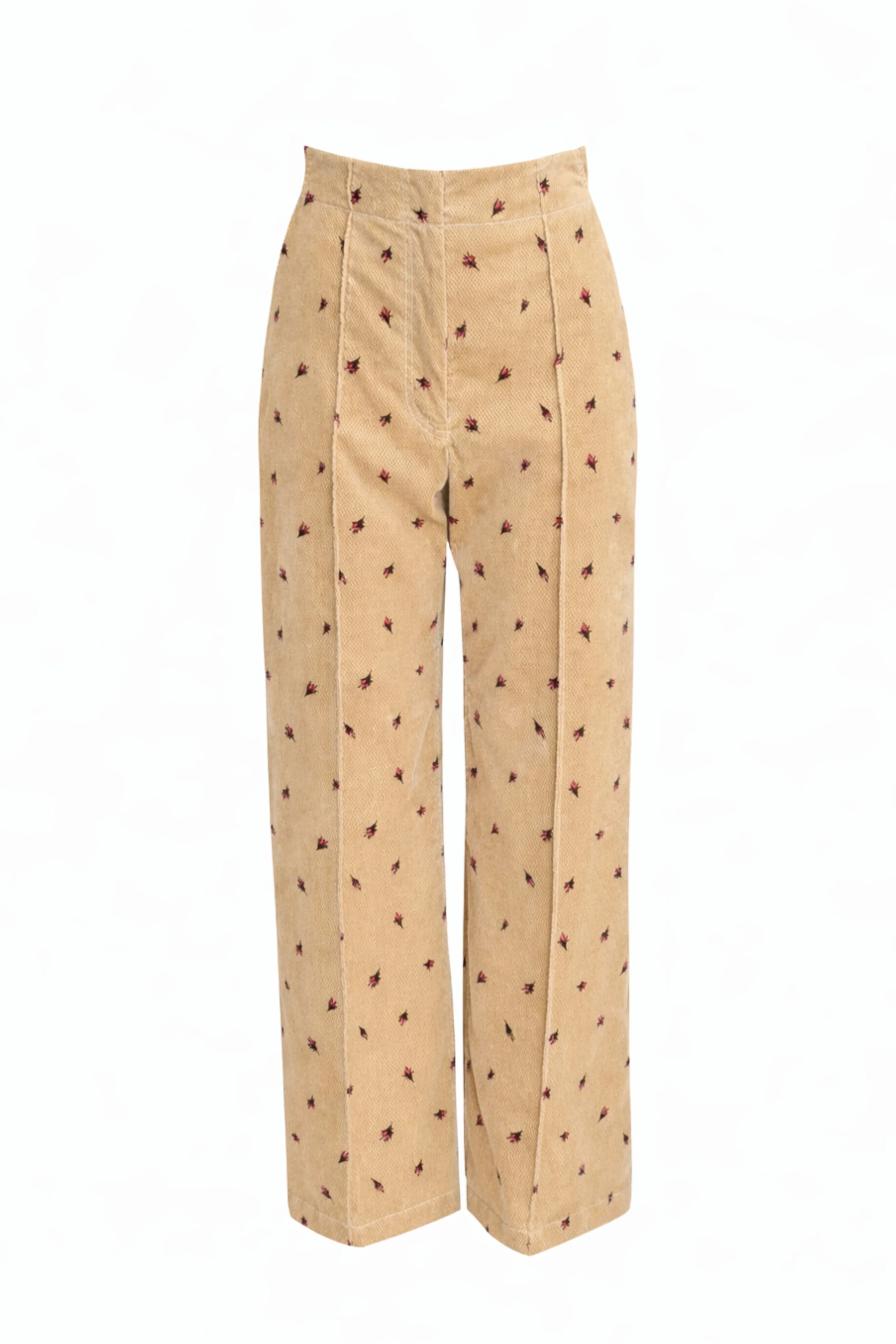 Barros Pant