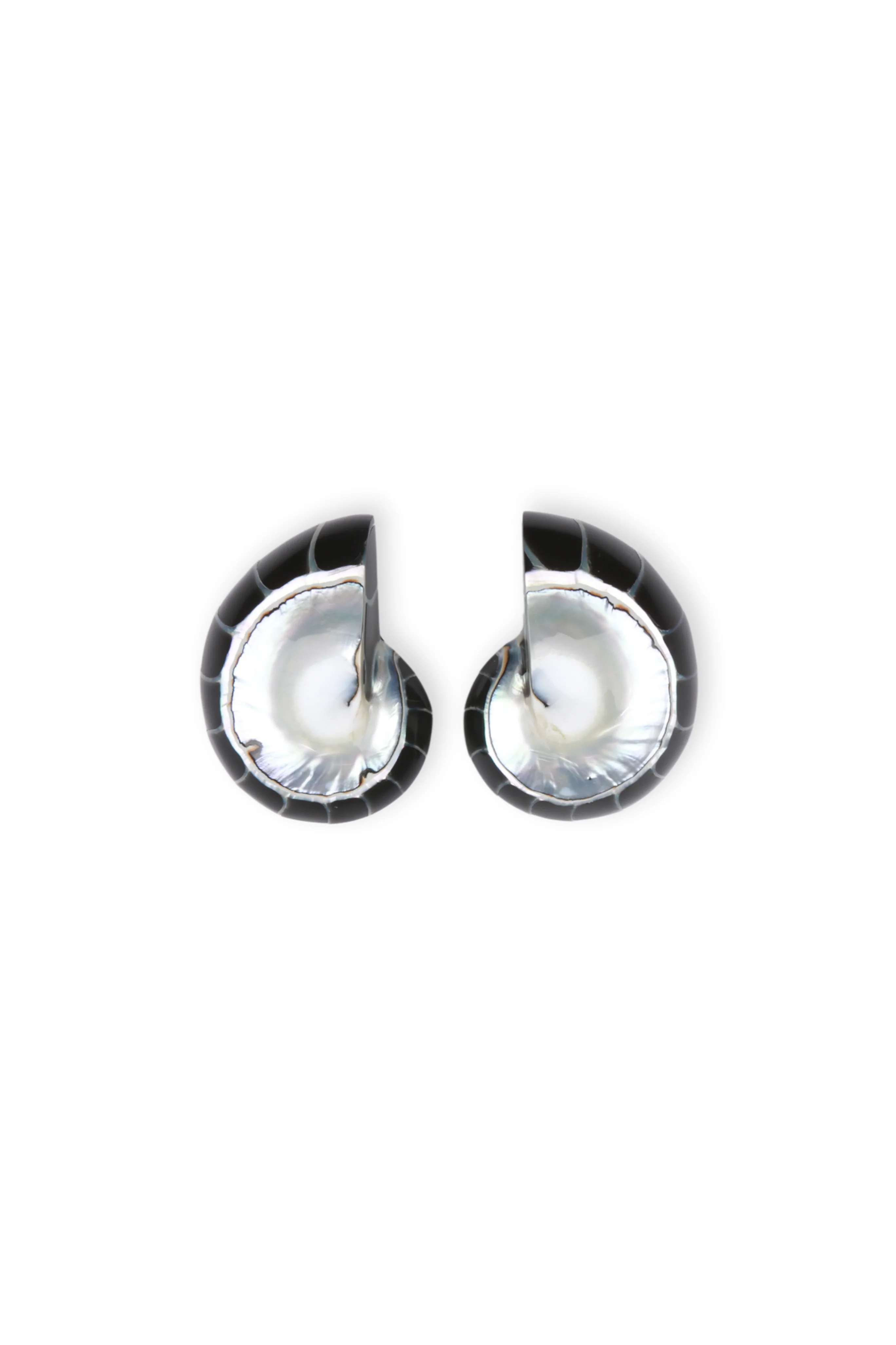 Nautilus Earrings in Black